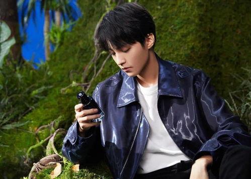 王俊凯娱乐八卦爆料视频,独家视频爆料幕后真相 第3张 王俊凯娱乐八卦爆料视频,独家视频爆料幕后真相 第3张